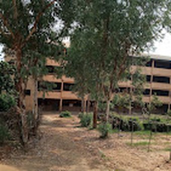 Tree-lined walkway across the compound